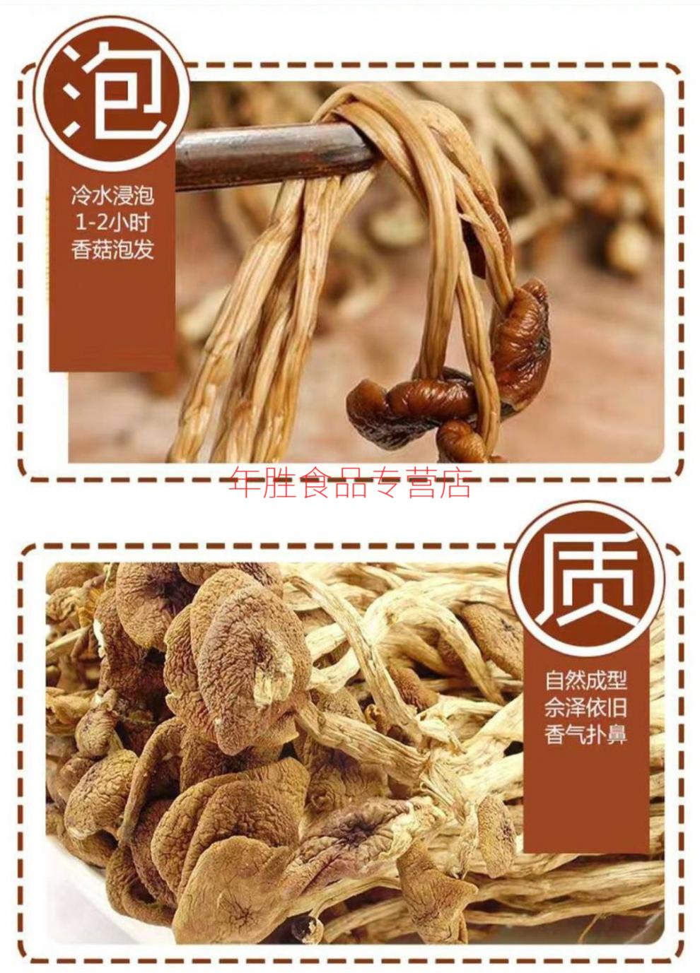 茶樹(shù)菇產(chǎn)地(茶樹(shù)菇產(chǎn)地是哪里最好)